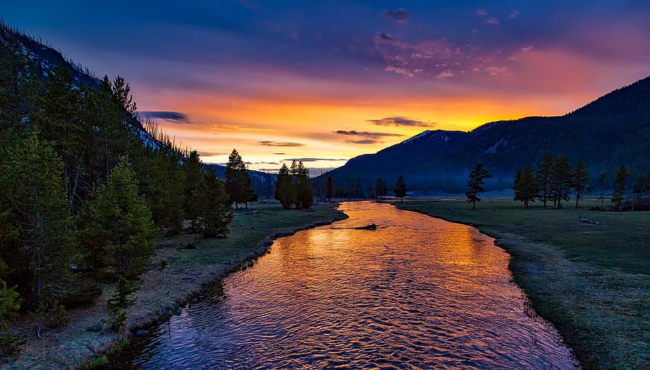 River Surrounded by Green Trees, clouds, dawn, dusk, field, fir trees HD wallpaper