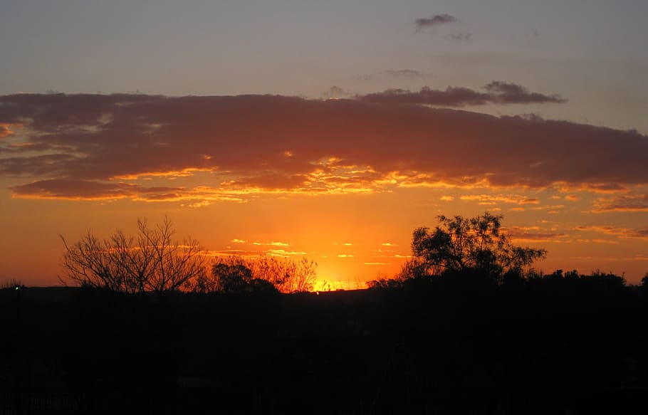 sunset, bright, orange, cloud, edging, luminous, glowing, bush HD wallpaper