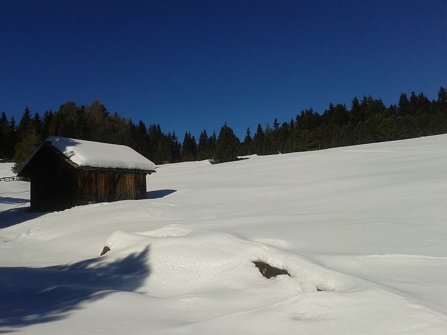 alm, snow, winter, blue, sky, white, cold temperature, tree HD wallpaper