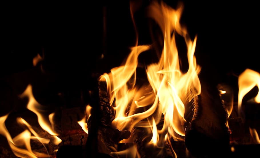 selective focus photography of flame, fire, campfire, burn HD wallpaper