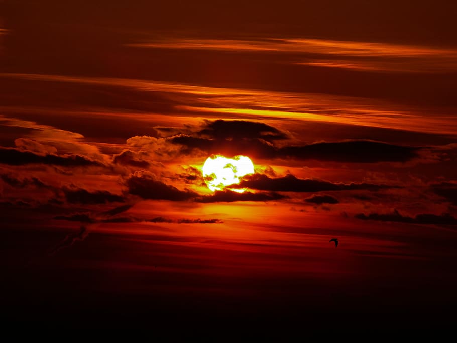 Sunset, photo of sky during golden hour, cloud, bird, red, cloud - sky HD wallpaper