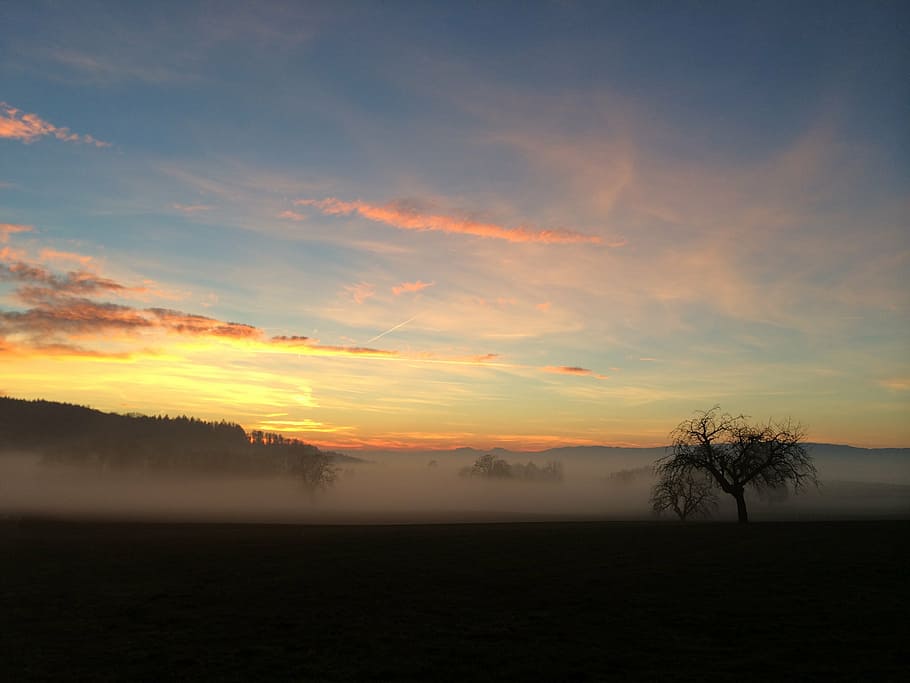 fog, abendstimmung, landscape, sunset, nature, sky, evening HD wallpaper