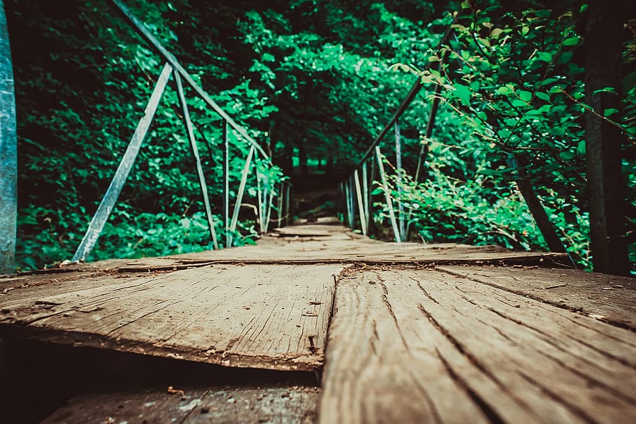 brown bridge surrounded by trees, color, foot bridge, nature, HD wallpaper