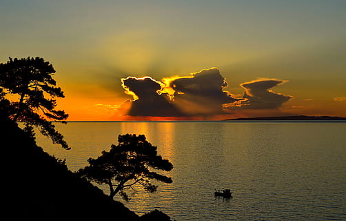 low light photography of body of water surrounded with silhouette of trees HD wallpaper