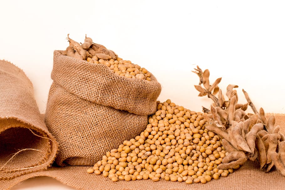 soy beans, Soybeans, Plants, Seeds, Bag, Burlap, grain, oil, food and drink, HD wallpaper