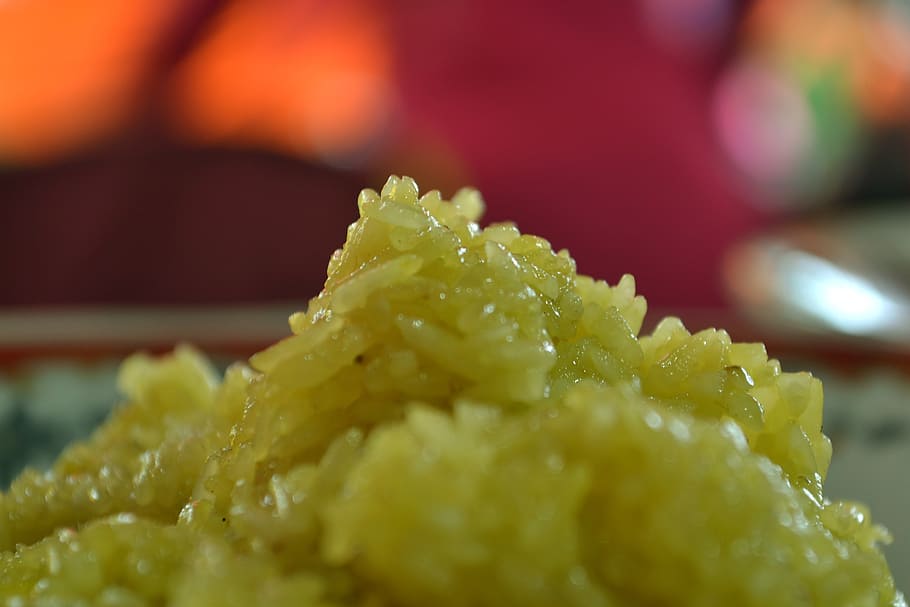rice, turmeric, west sumatra, food and drink, selective focus HD wallpaper