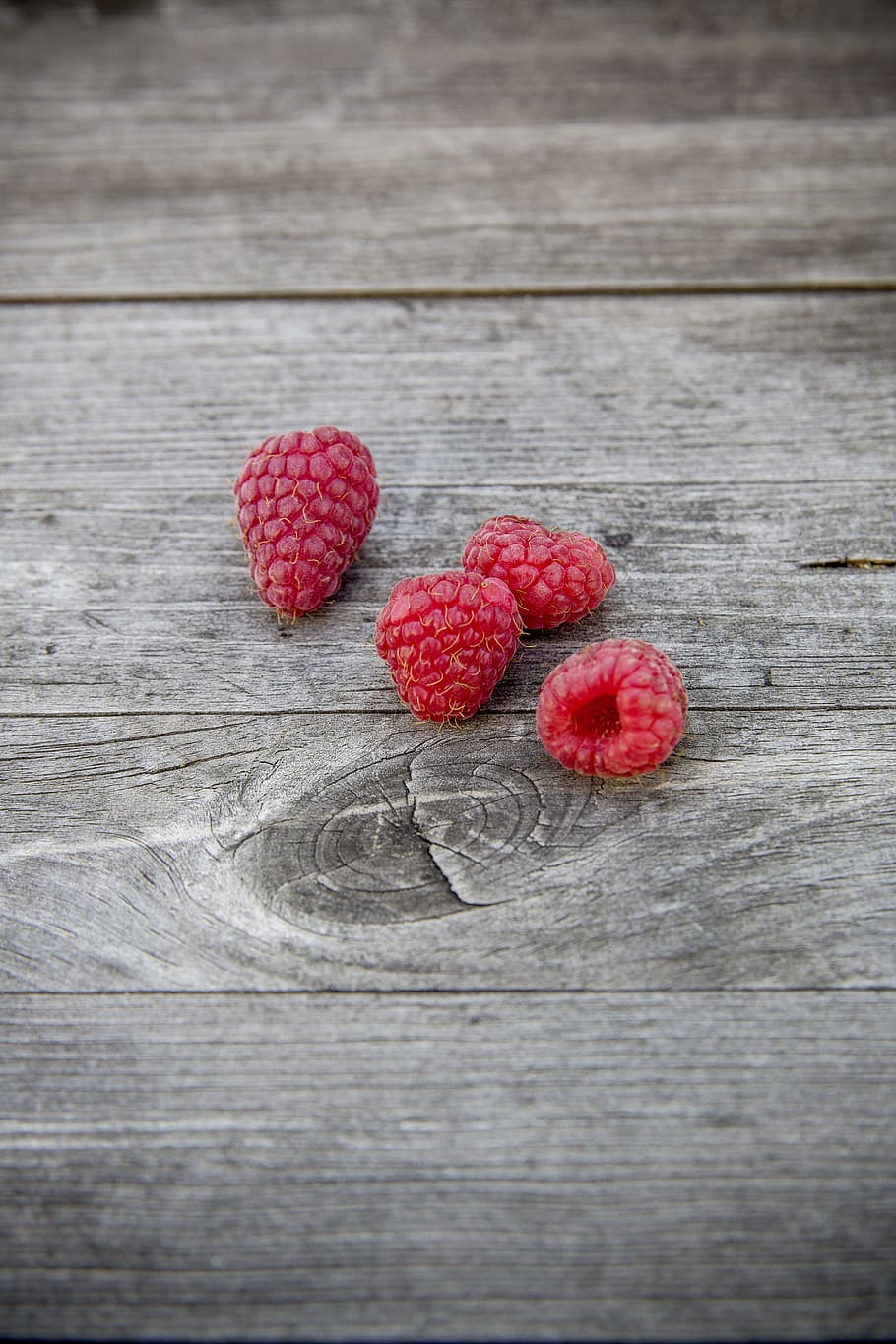 four red raspberries, fruit, fruits, delicious, food, nutrition, HD wallpaper