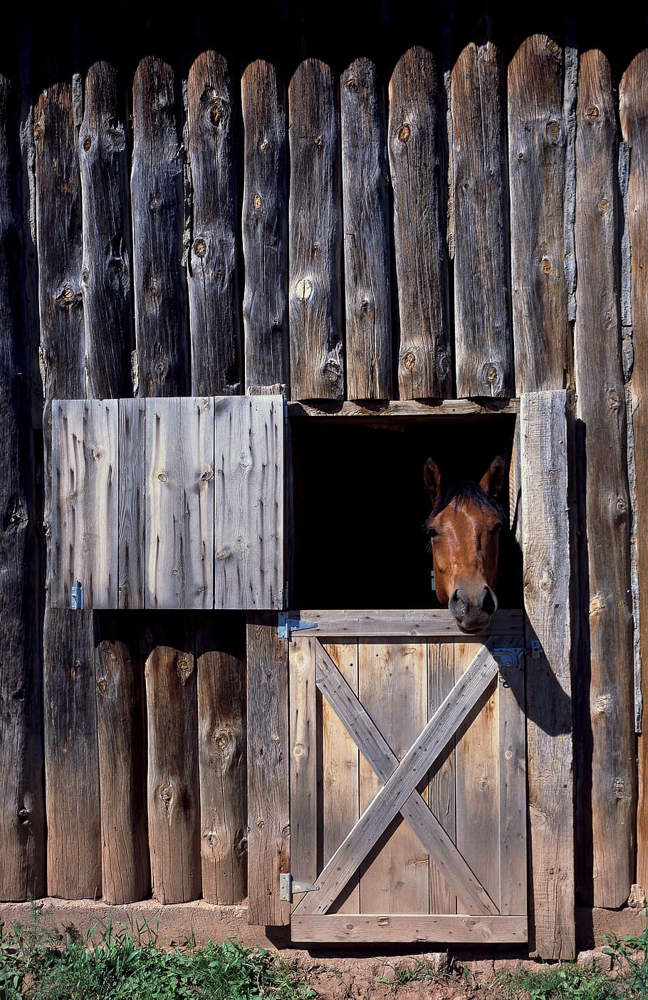 brown horse inside cage, horse stable, animal, nature, equestrian, HD wallpaper