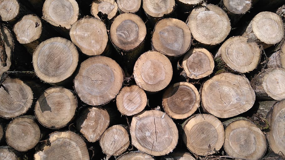 firewood, background, stake, trunks, stack, pore, timber, log HD wallpaper