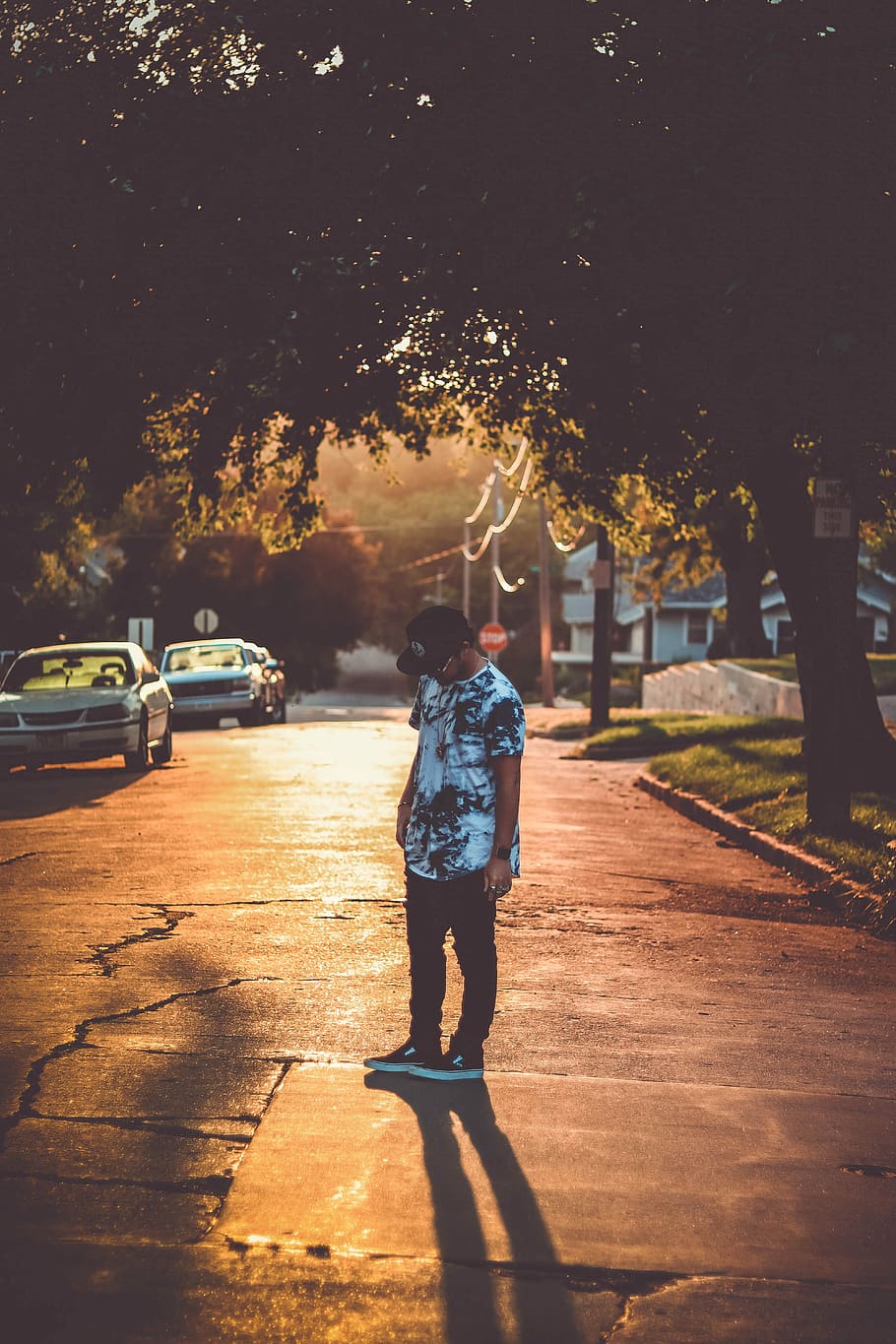 Streets of Gold, man standing on road between trees, portrait