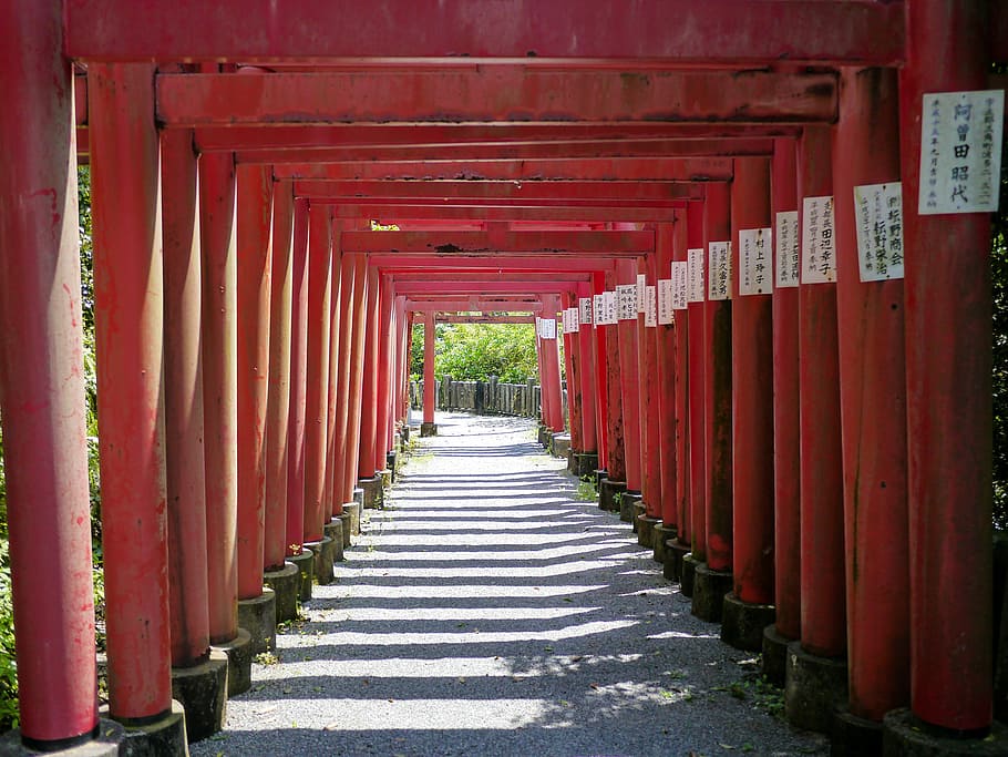 japan, takahashi inari, kumamoto, shrine, vermilion, red, road, HD wallpaper