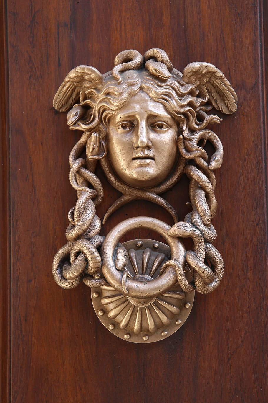 silver medusa door knocker, the door, entrance, italy, lion - feline, HD wallpaper