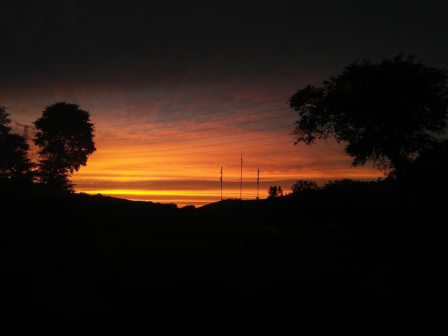 tree, sunset, sky, silhouette, plant, scenics - nature, beauty in nature HD wallpaper