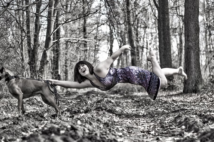 woman in purple dress holds a dog in a middle of the forest, levitation