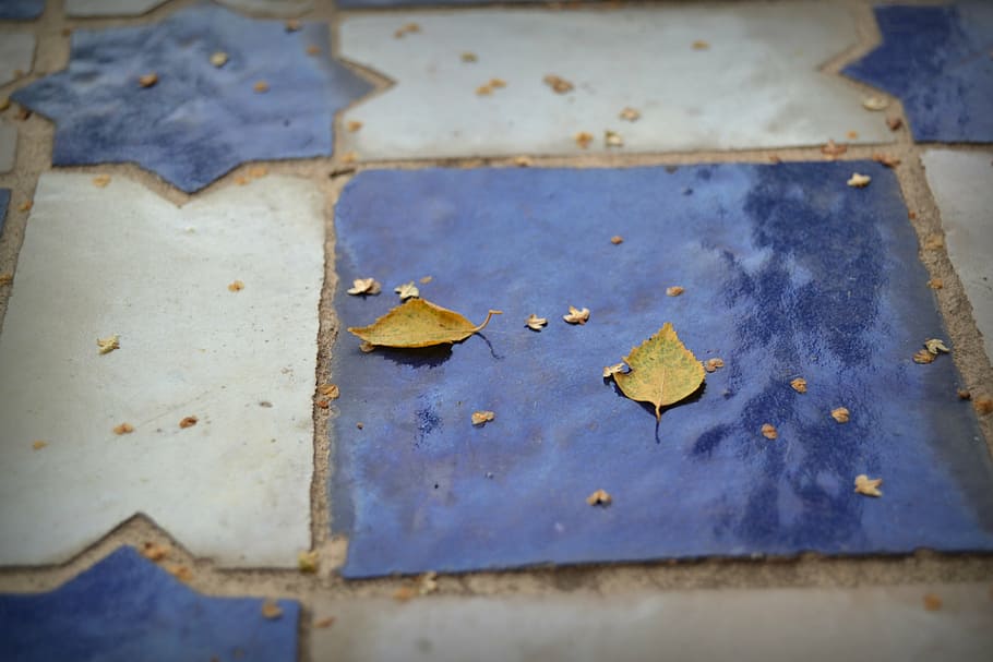 autumn, israel, oriental, blue, white, tile, ground, favor, HD wallpaper