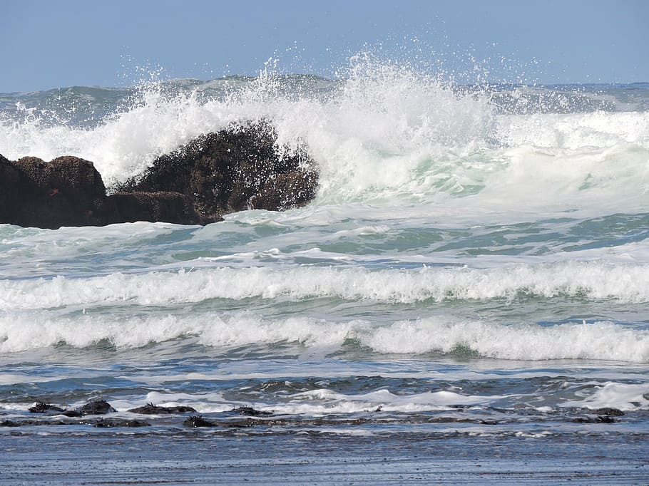 ocean, coast, wave, crashing, rocks, sea, water, beach, motion HD wallpaper