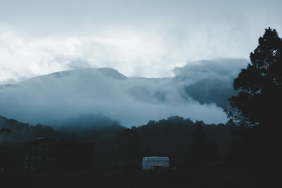 mountain covered with fog during daytime, mountain covered with mist HD wallpaper