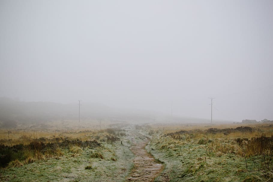 nature, landscape, roads, paths, dirt, soil, fog, environment HD wallpaper
