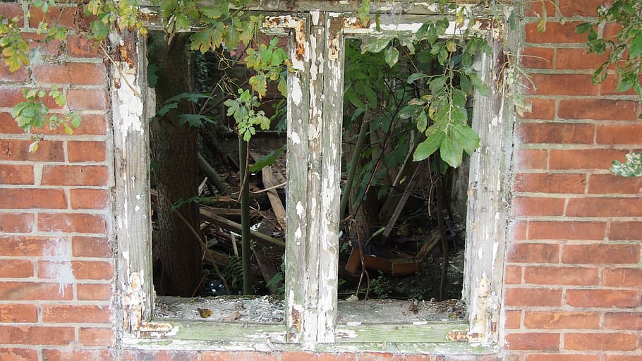 home, window, break up, old window, decay, leave, weathered HD wallpaper