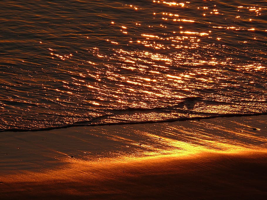 sunset, evening, silhouette, evening sky, afterglow, dusk, orange HD wallpaper