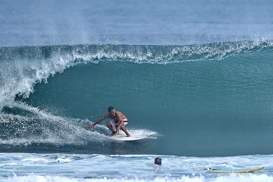 surf, spray, water, wave, sea, motion, aquatic sport, surfing HD wallpaper