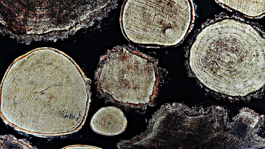 texture, the background, design, model, abstraction, timber HD wallpaper