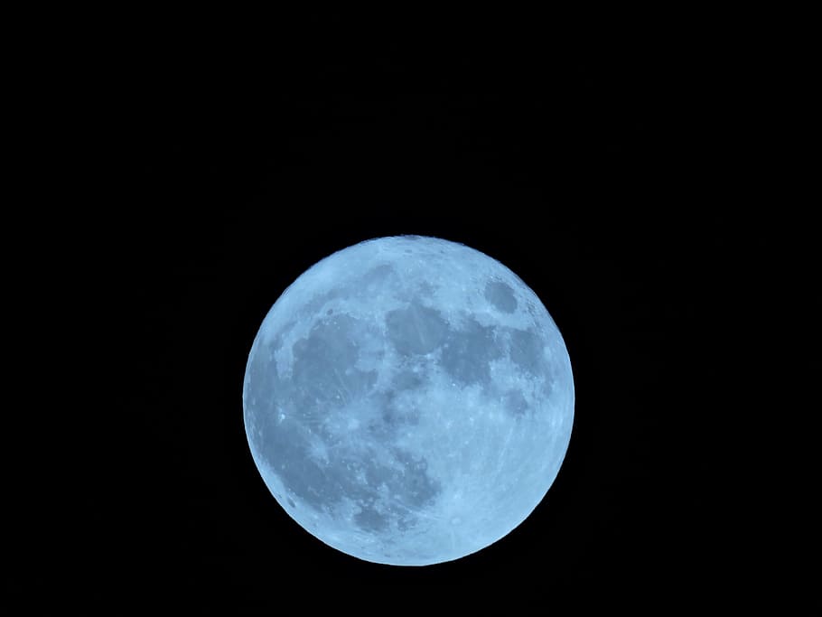 luna, super, bright, november, event, exceptional, moon, night, HD wallpaper
