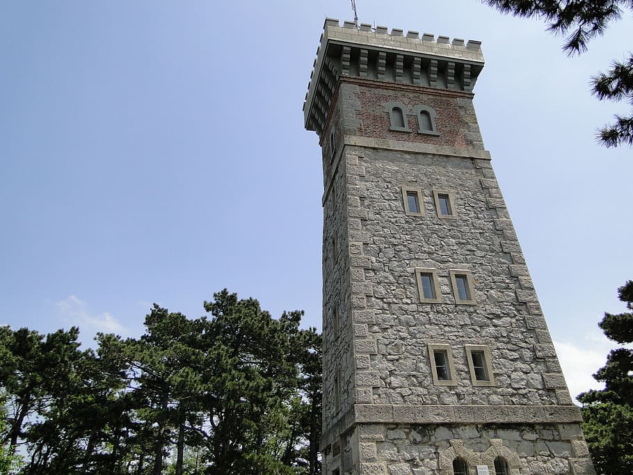 tower, harz mountain, austria, low angle view, tree, architecture HD wallpaper