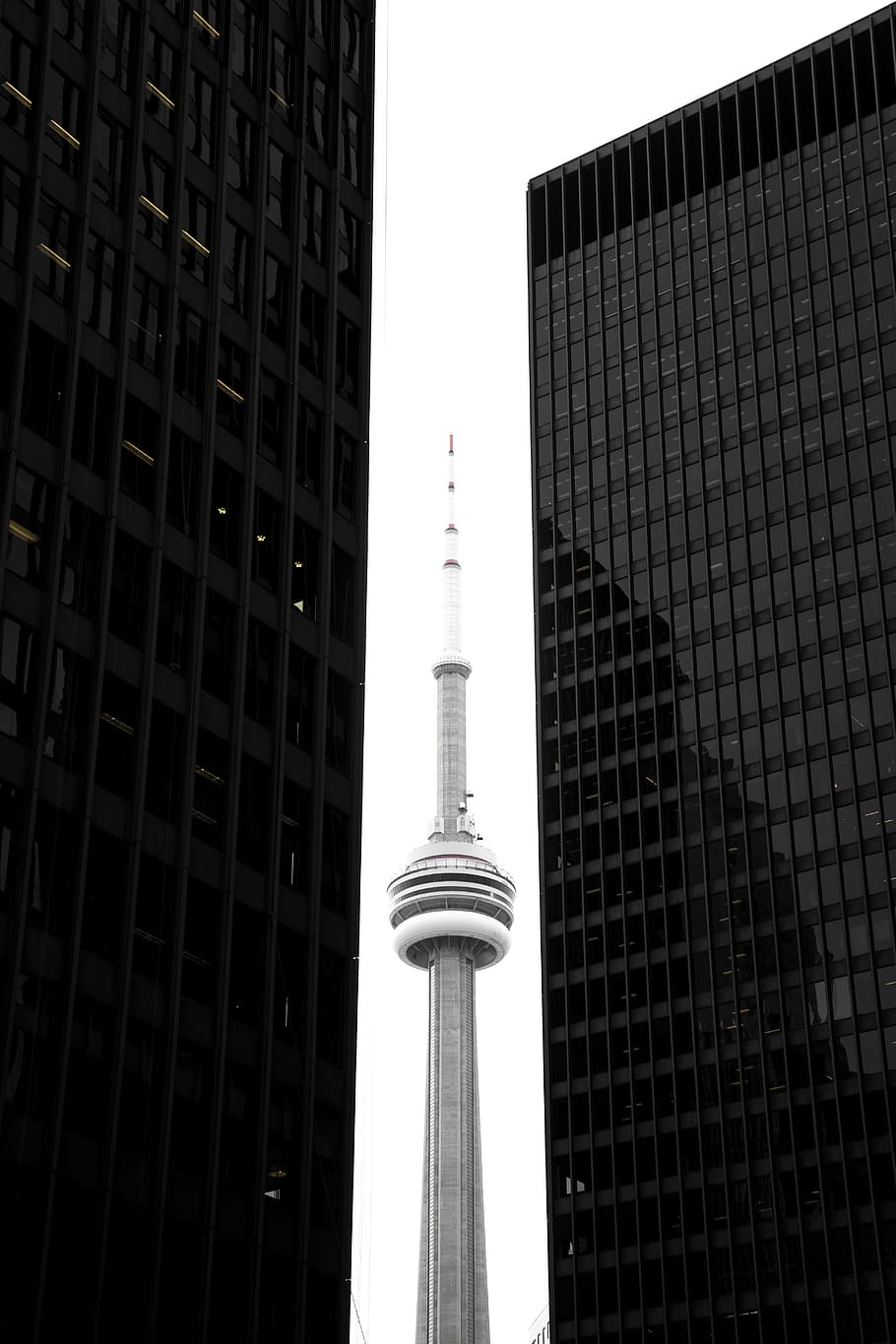 CN tower in between glass skyscrapers, CN tower in the middle of building HD wallpaper