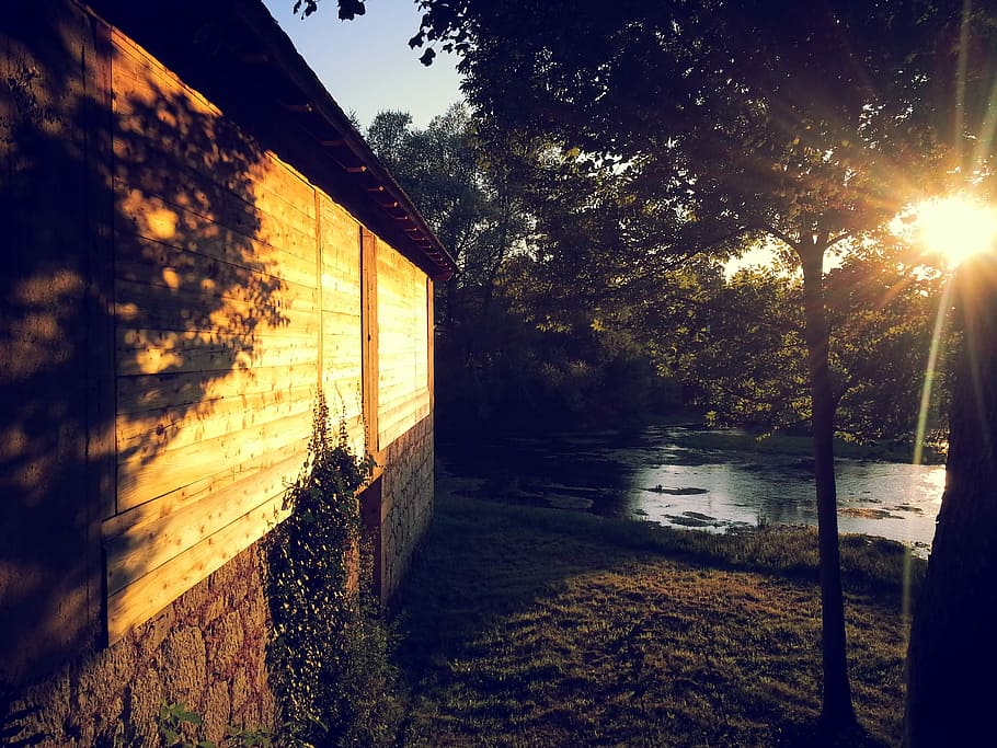 sun ray reflected on tree and wall, photo of house near body of water HD wallpaper