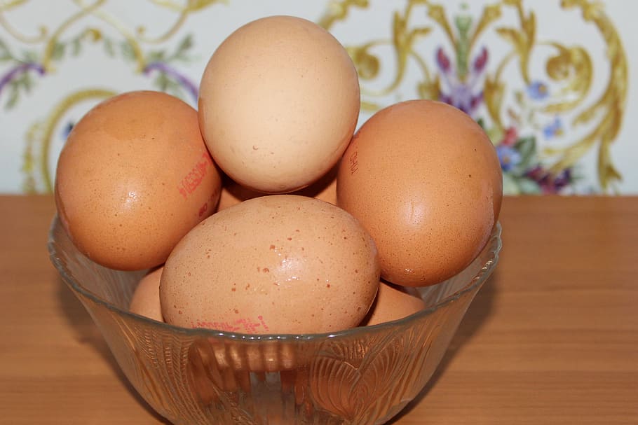 egg, chicken eggs, nutrition, food, eggshell, animal Egg, easter, HD wallpaper
