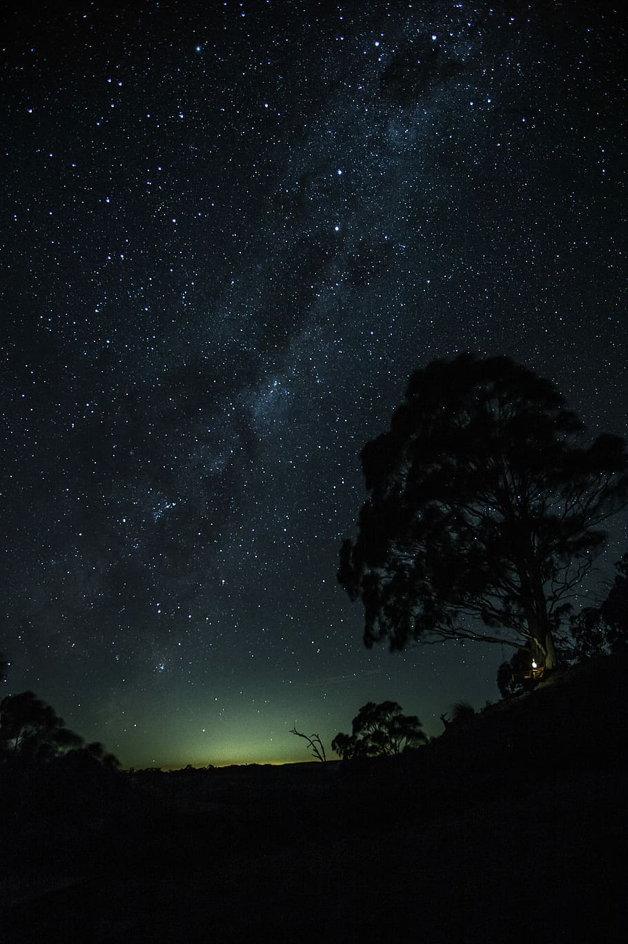 aurora galaxy, nighttime artwork, sky, star, tree, silhouette HD wallpaper