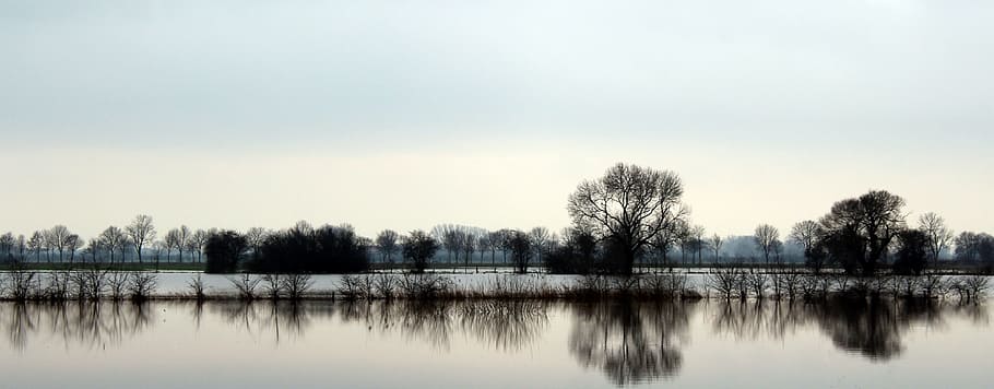 landscape photography of body of water and black trees, waters HD wallpaper