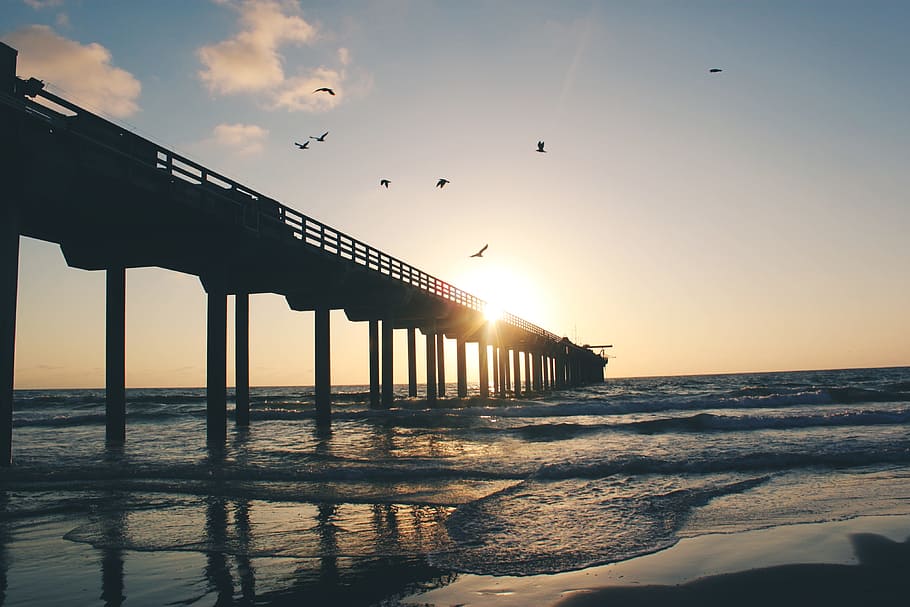 sunset, dusk, sky, clouds, birds, animals, pier, dock, summer HD wallpaper