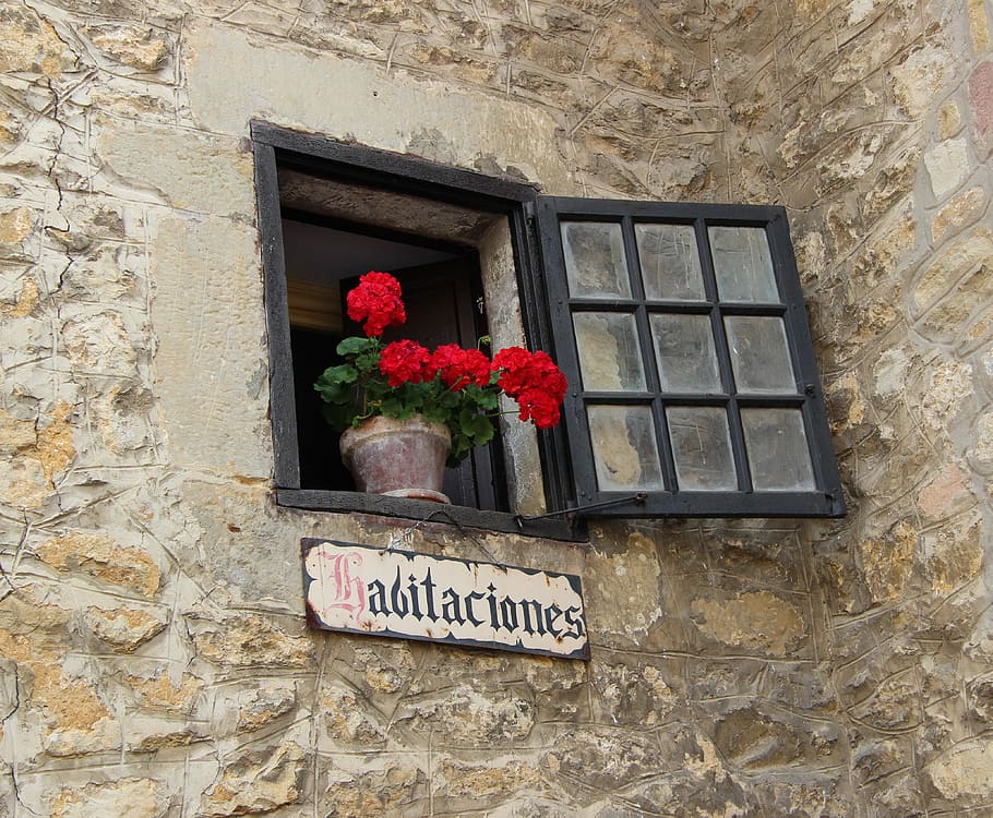 Window, Flowerpot, Accommodation, Shield, still life, natural stone wall HD wallpaper