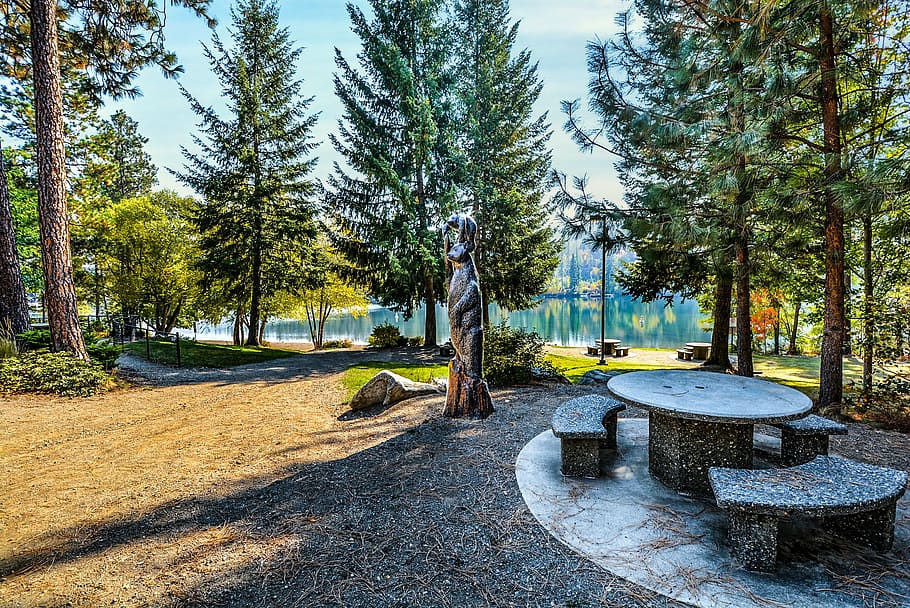 park, picnic, statue, bear, river, rural, rustic, country, table HD wallpaper