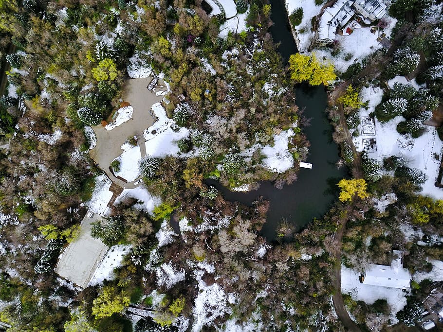 aerial photo of island, green, plants, trees, view, river, water HD wallpaper