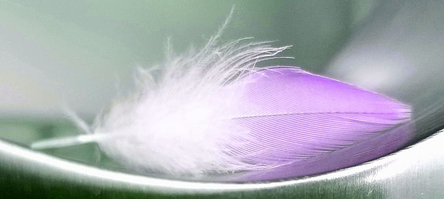 nature, desktop, color, texture, colorful, random, interior HD wallpaper