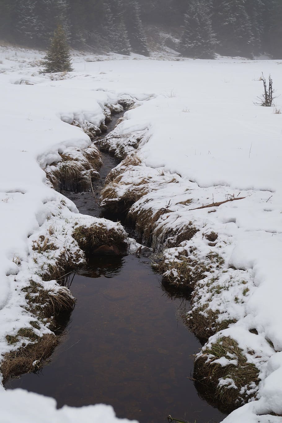winter, snow, stream, nature, flowing, cold - Temperature, outdoors HD wallpaper