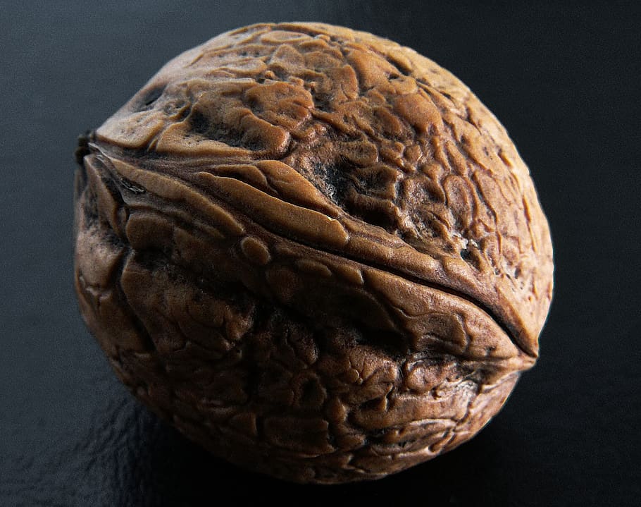 photography of wallnut, walnut, walnut waxes, hard, shell, brown HD wallpaper