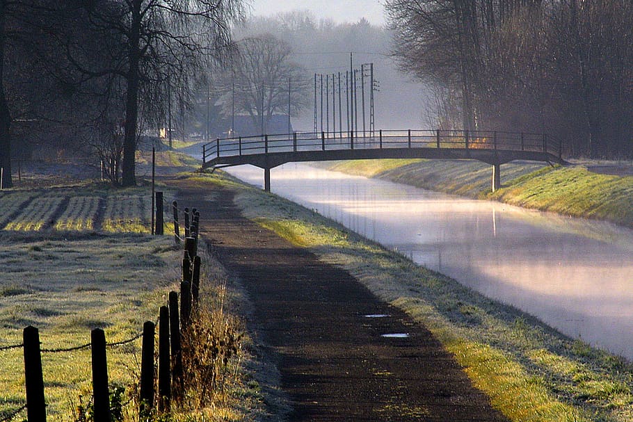 channel, fog, bridge, path, nature, tree, water, plant, connection HD wallpaper