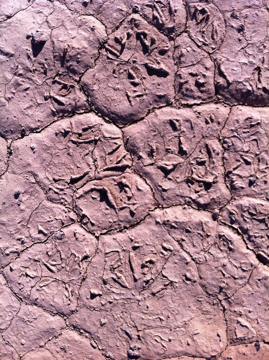Earth, Mud, Cracked, Pattern, Soil, Dirt, ground, land, brown HD wallpaper