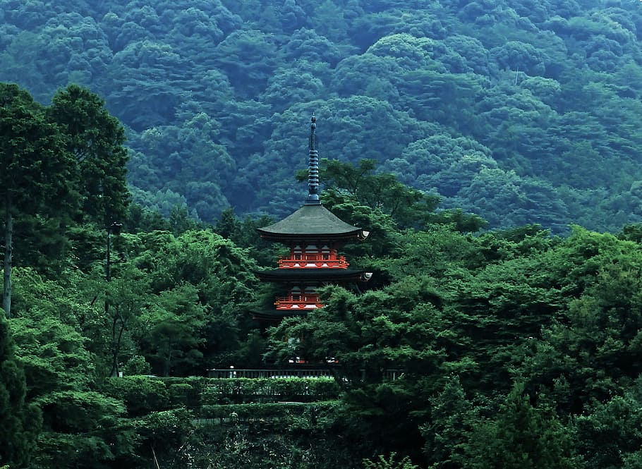 black and red temple in forest, pagoda, japan, asia, jungle, tree