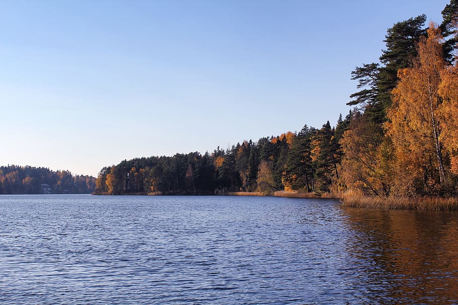 Sweden, Forest, Trees, Woods, Fall, autumn, lake, water, reflections HD wallpaper