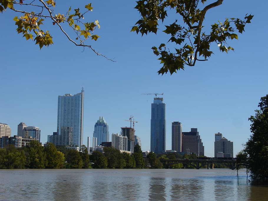 view city buildings and body of water, austin, texas, river HD wallpaper