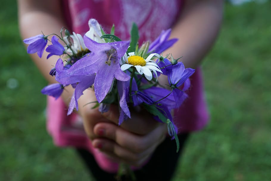 girl holding a purple and white petaled flowers, strauss, hands HD wallpaper