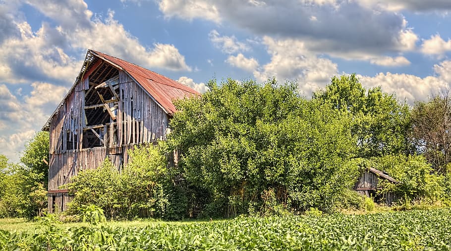 barn, barns, rustic, art, digital art, artistic, textured, ohio HD wallpaper