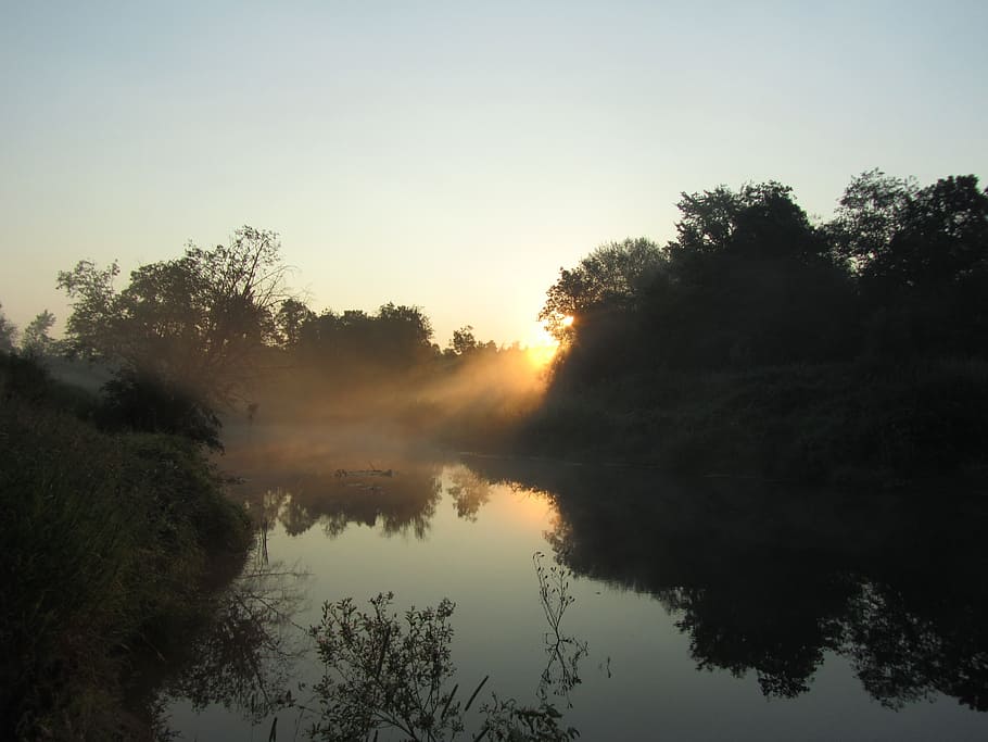 nature, dawn, light, landscape, silence, morning, tree, plant HD wallpaper