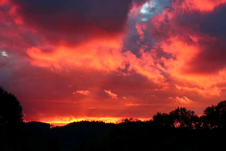 sky, clouds, bright red, trees, sunset, cloud - sky, beauty in nature HD wallpaper