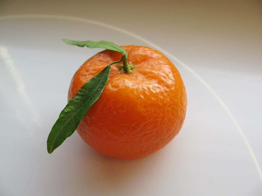 fruit, mandarin, healthy, freshness, food, citrus Fruit, ripe HD wallpaper
